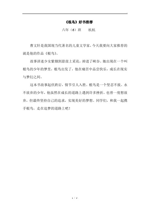 《根鸟》好书推荐