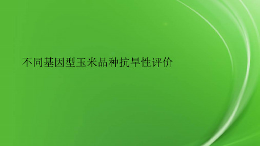 不同基因型玉米品种抗旱性评价