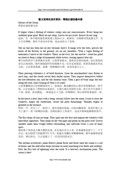 散文英译汉佳作赏析：辉煌壮丽的暴风雨