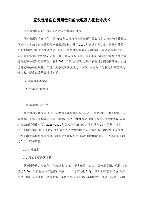 巨玫瑰葡萄在贵州贵阳的表现及大棚栽培技术