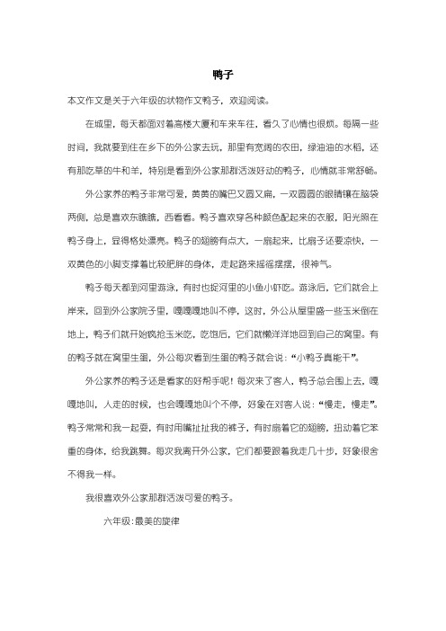 小学六年级状物作文：鸭子