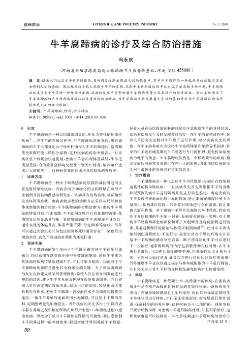 牛羊腐蹄病的诊疗及综合防治措施