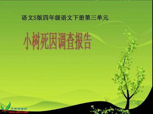 小树死因调查报告课件(语文S版四年级下册)