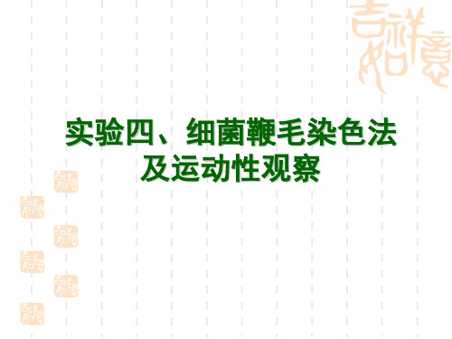 2013实验四细菌鞭毛观察法及细菌运动性观察(2) 
