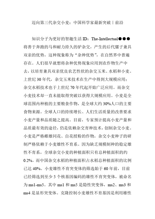 迈向第三代杂交小麦：中国科学家最新突破｜前沿