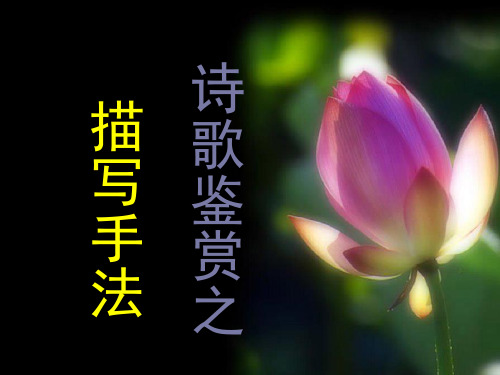 描写手法