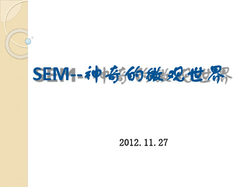 扫描电子显微镜-SEM-1 材料研究方法与实验