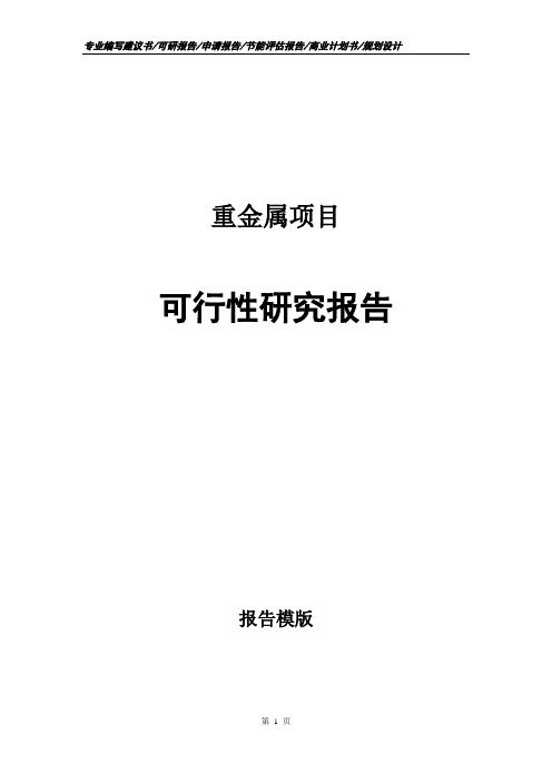 重金属项目可行性研究报告申请报告