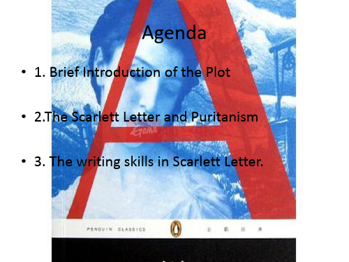 霍桑 红字 scarlet letter  英文 情节介绍 人物介绍 书籍摘要