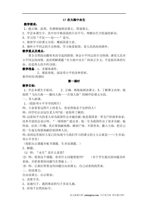在大海中永生教案