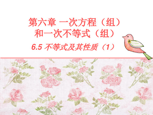 6.5 不等式及其性质