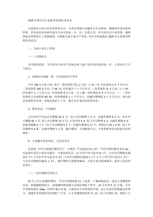 2020年邢台市小麦春季管理技术意见