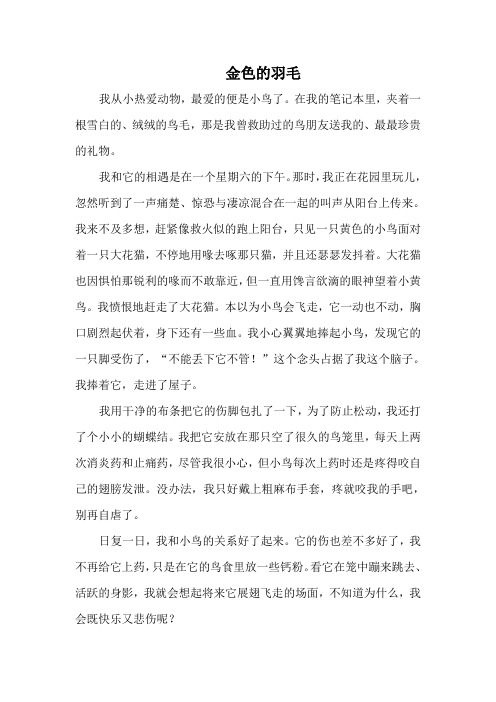 金色的羽毛