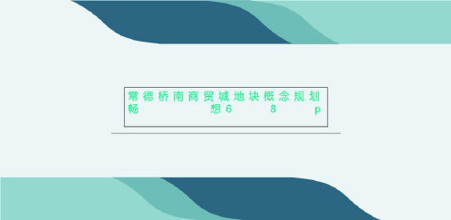 常德桥南商贸城地块概念规划畅想68p