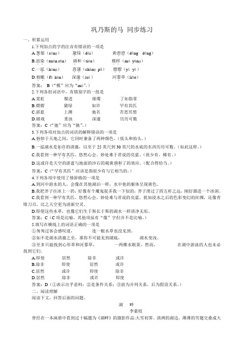 高中语文必修3巩乃斯的马 同步练习3