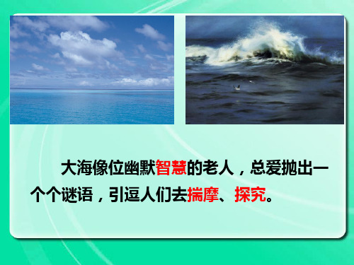 23、神秘的小岛