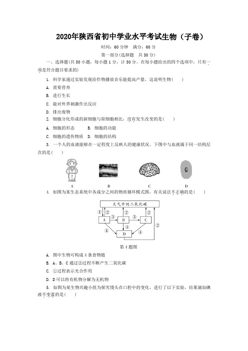 2020年陕西省初中学业水平考试生物(子卷)真题及答案