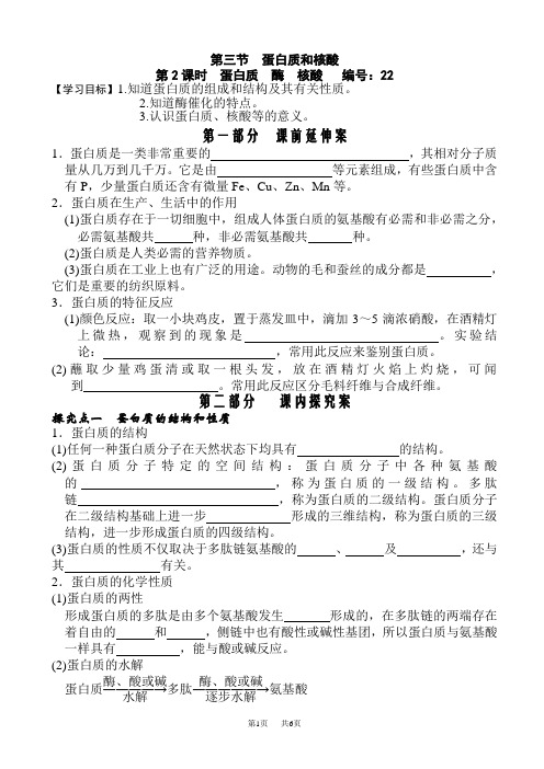 蛋白质和核酸学案1(高二化学)