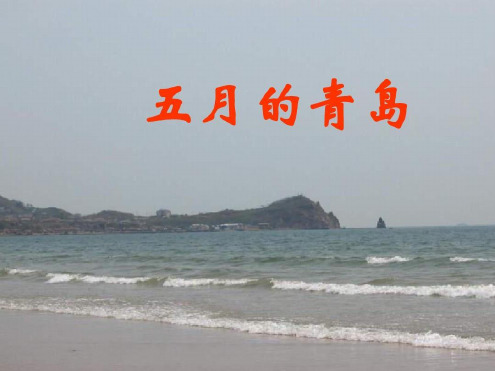 三年级语文五月的青岛