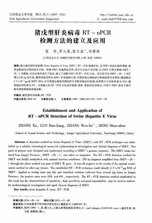 猪戊型肝炎病毒RT-nPCR检测方法的建立及应用