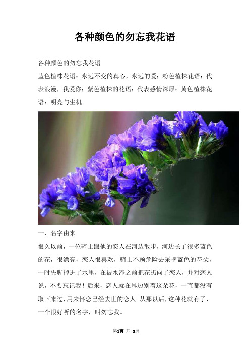 各种颜色的勿忘我花语