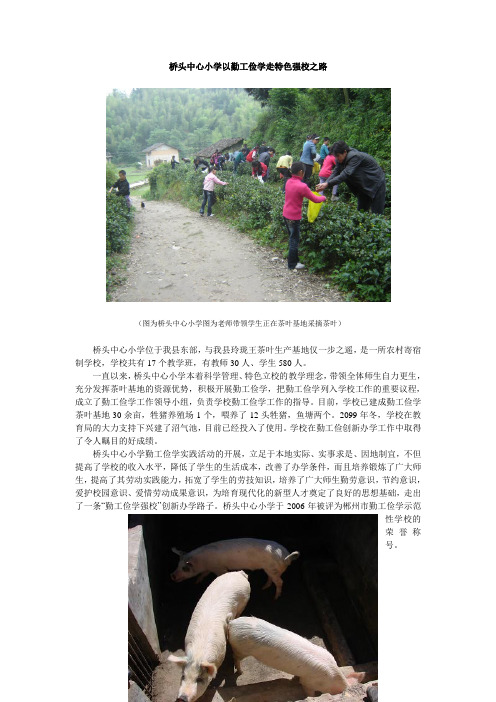 桥头中心小学以勤工俭学走特色强校之路