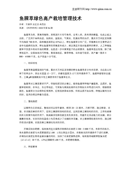 鱼腥草绿色高产栽培管理技术