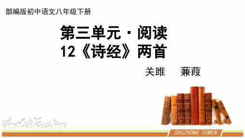 人教部编版初中语文八年级下册第三单元《诗经》优秀PPT课件(内含2课时)
