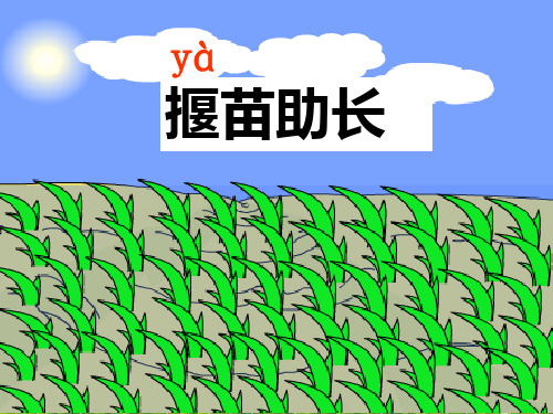 新版二年级语文下册课件-揠苗助长 人教部编版(共23张PPT)演示课件