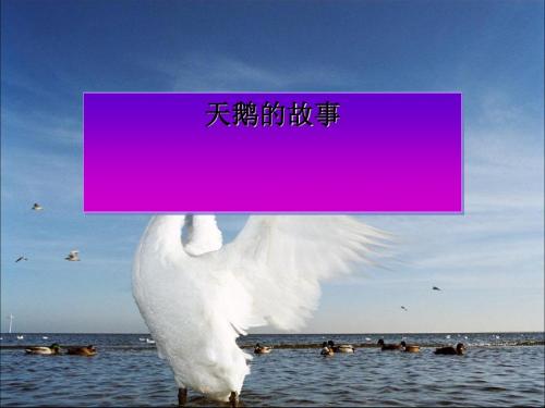 《天鹅的故事》PPT课件4
