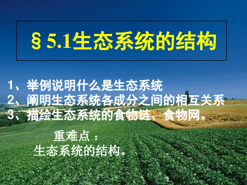 人教生物必修3第5章第1节 生态系统的结构 (3)