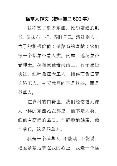 稻草人初中作文  五篇