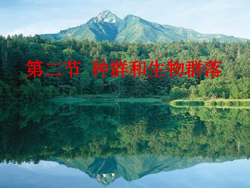 种群和生物群落.ppt
