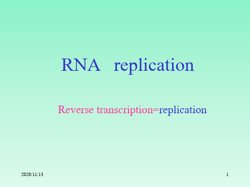 3RNA指导的DNA复制逆转录及病毒的复制 ppt课件