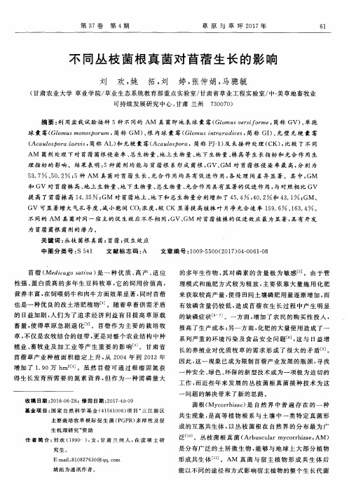 不同丛枝菌根真菌对苜蓿生长的影响