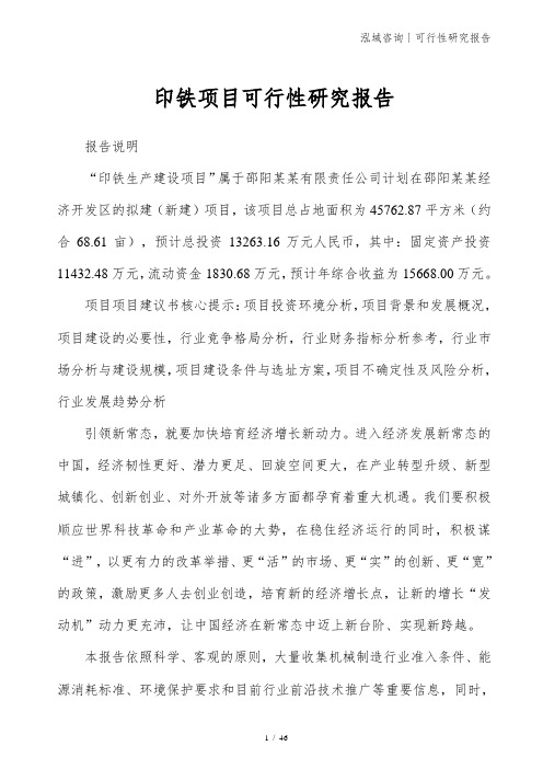 印铁项目可行性研究报告