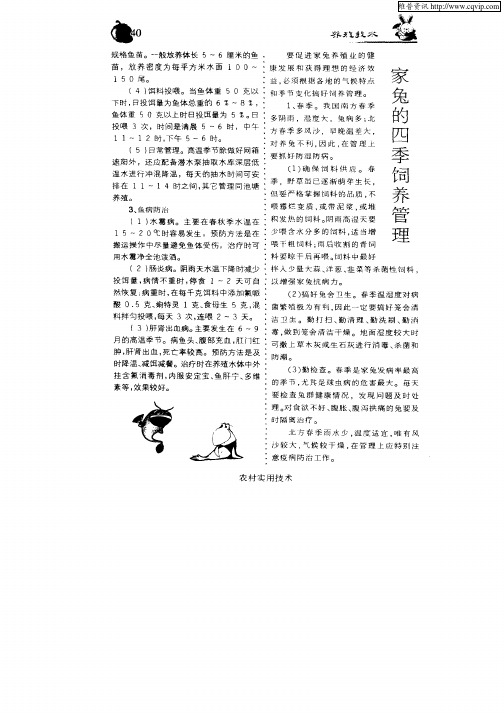 家兔的四季饲养管理