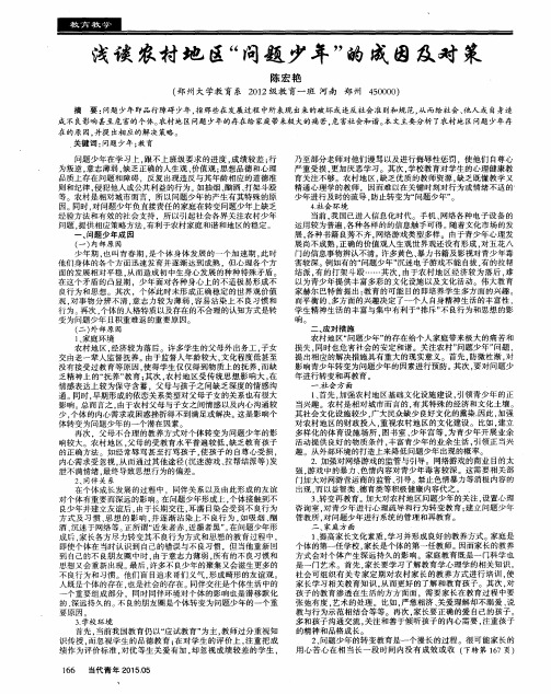 浅谈农村地区“问题少年”的成因及对策