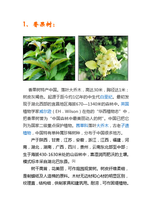 适合在黄山种植的花卉,树木