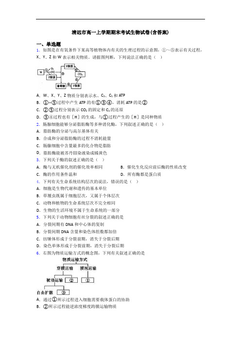 清远市高一上学期期末考试生物试卷(含答案)