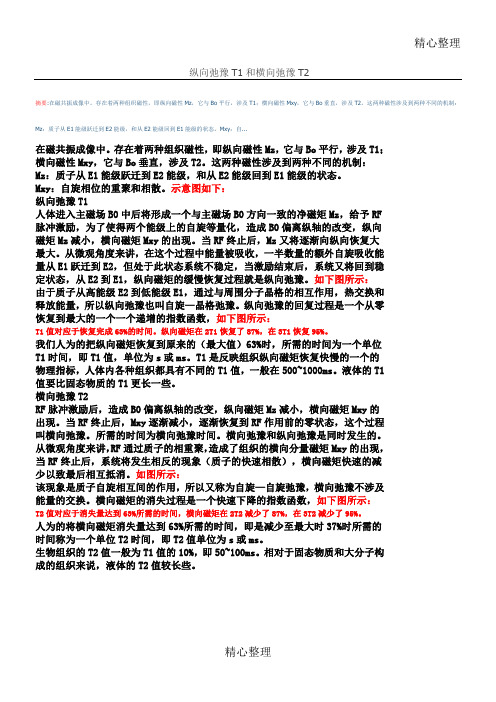 纵向弛豫T和横向弛豫T