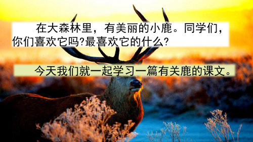 部编版语文三年级下册课件-7 美丽的鹿角