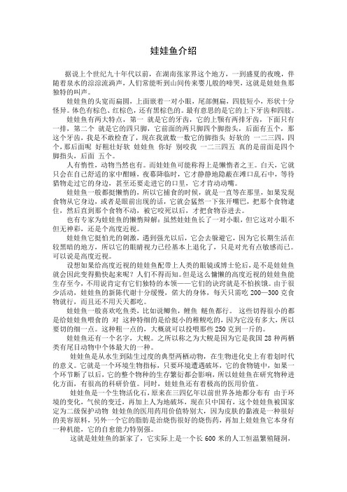 娃娃鱼养殖技术