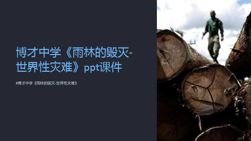 博才中学《雨林的毁灭-世界性灾难》课件