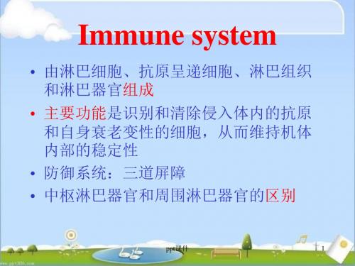 动物组织胚胎学--免疫系统  ppt课件