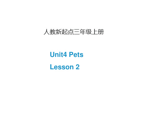 三年级上册英语人教版新起点Unit 4 Lesson 2 01 名师教学课件