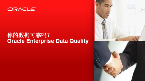 Oracle Enterprise Data Quality