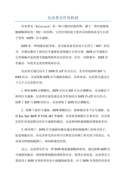 厄洛替尼作用机制