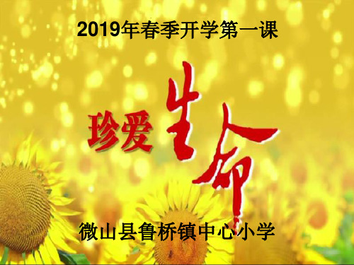 2019年春季开学安全第一课
