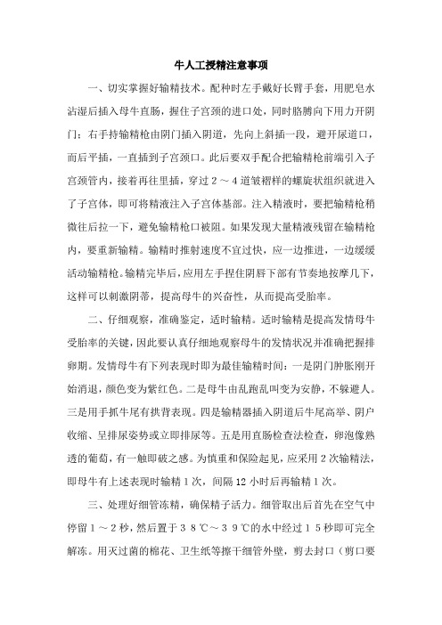 牛人工授精注意事项